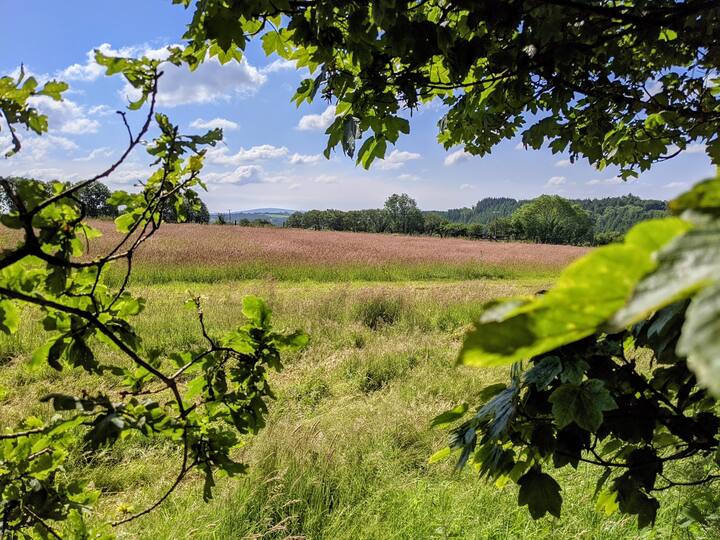 Wild Camping - Pitch Your Tent Or Caravan - Cornouailles