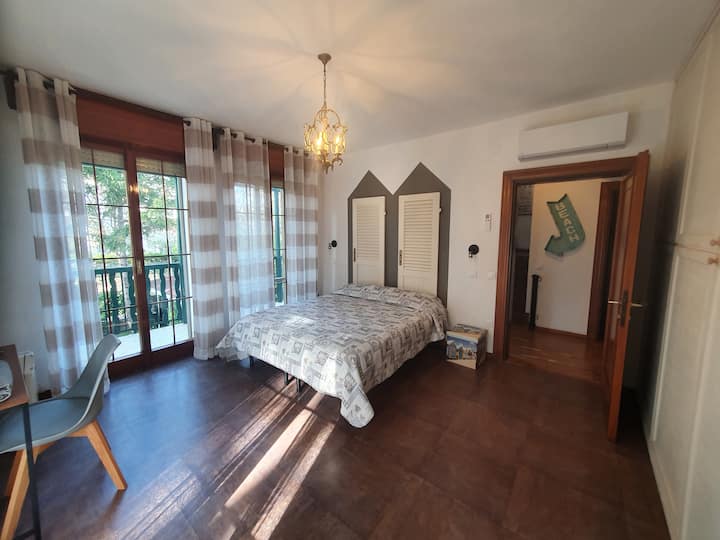 Კამერა 01