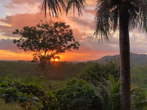 Beautiful villa in the middle of paradise