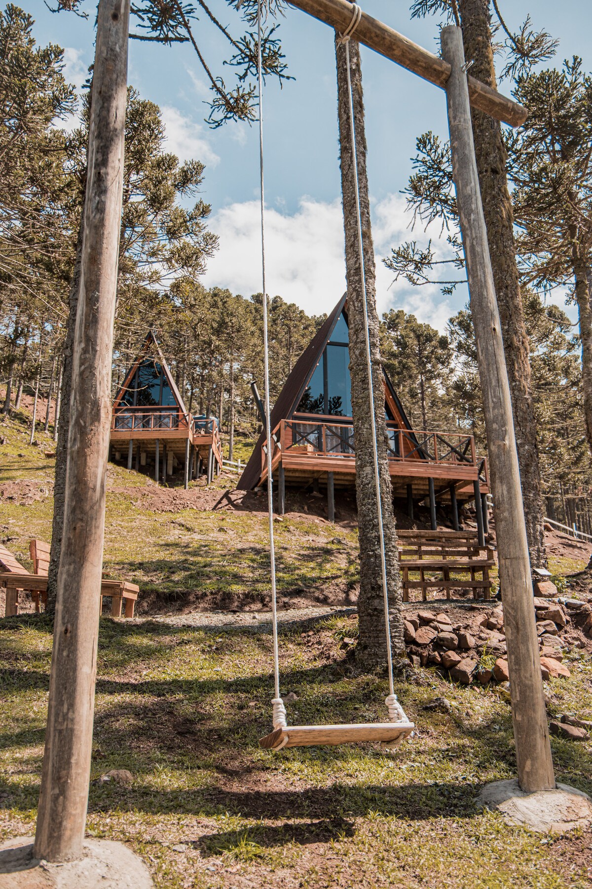 Two modern cabins with triangular roofs are nestled among tall trees, surrounded by lush green grass. A wooden swing hangs from a sturdy frame in the foreground, providing a serene outdoor setting. Bright blue skies partially covered with clouds are visible above the cabins.
