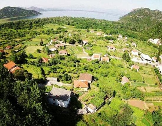 Aerial view of a serene landscape featuring a mix of lush greenery and small houses. Fields and gardens are interspersed throughout the area, alongside a calm body of water visible in the distance. The setting conveys a peaceful rural atmosphere.