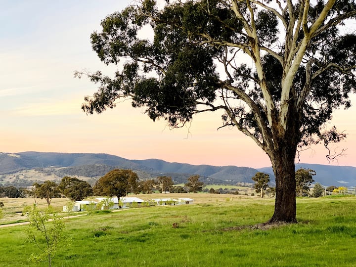 O'Connell Holiday Rentals & Homes New South Wales, Australia Airbnb