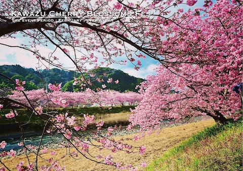 [Shobusawa Log] Accommodates up to 8 people! Spacious bath & 3LDK. Very popular with families.