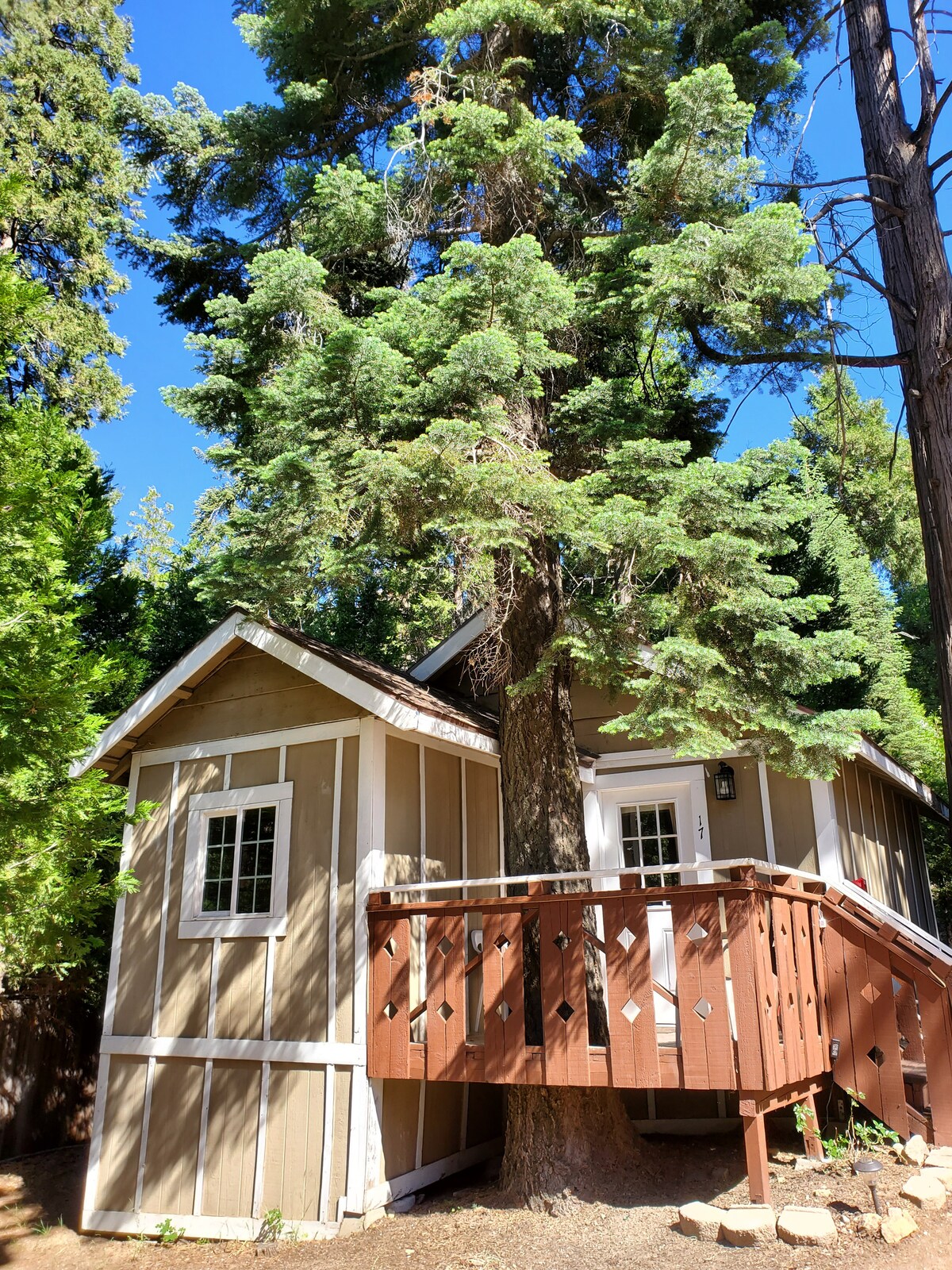 A charming cabin features a wooden deck and is surrounded by tall trees. The natural wood siding complements the forest setting. A white-framed window offers a glimpse of the interior, while sunlight filters through the surrounding greenery, creating a serene atmosphere.