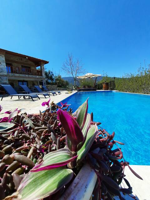 Stone house with pool and jacuzzi in nature (villa elixir)