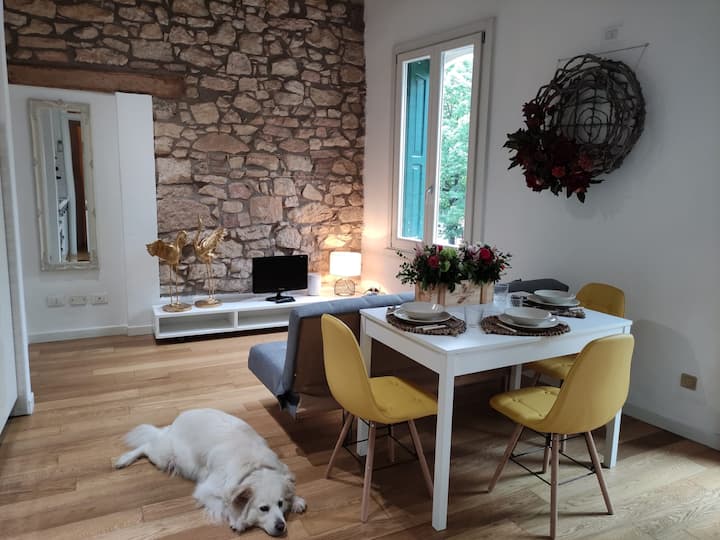 Appartamento Grazioso In Palazzina Del 900: Verona - Verona