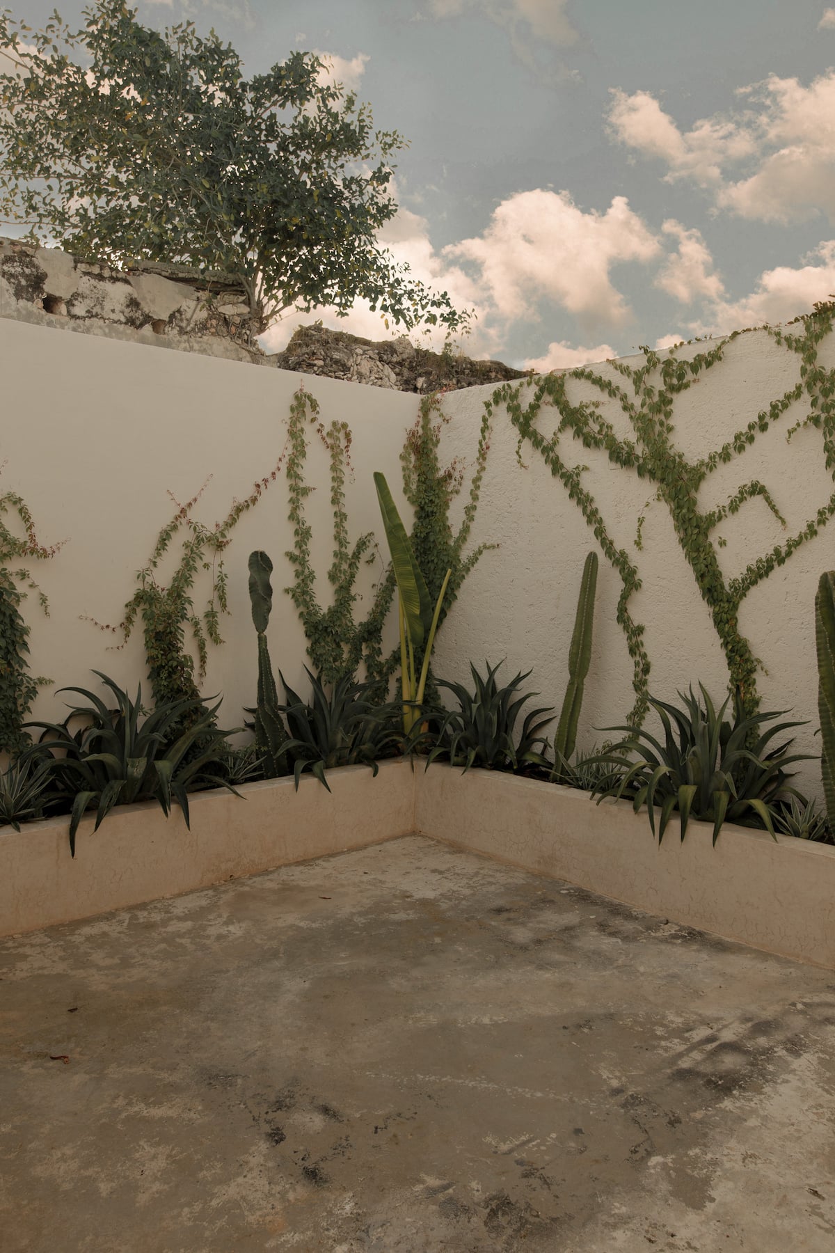 Narrativ Lofts Solario, Calle 59 Campeche — Casonas MX — photo 18