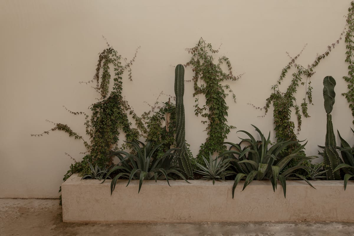 Narrativ Lofts Solario, Calle 59 Campeche — Casonas MX — photo 19