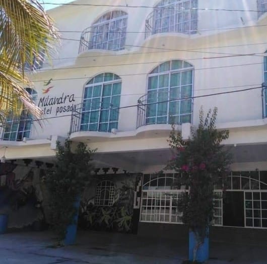 The hotel façade is characterized by large, arched windows that allow natural light to fill the interior. Balconies adorned with metal railings extend from the upper floor, while tropical plants add greenery to the entrance area.
