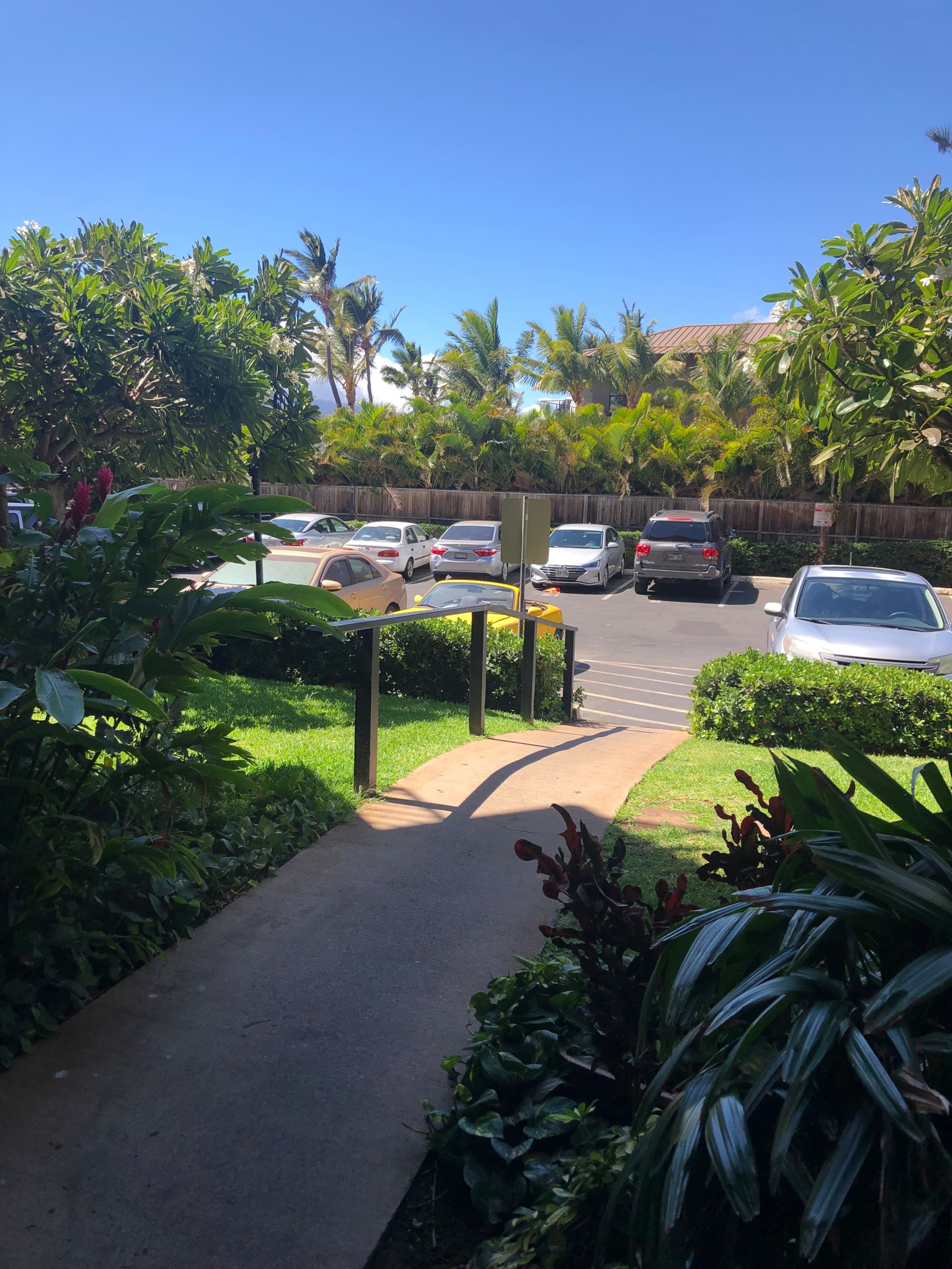 Condo in Kihei · ★4.98 · 1 bedroom · 1 bed · 1 bath - Image 21