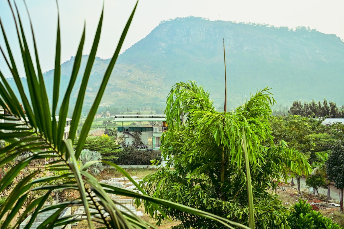 Lush greenery frames the view, showcasing vibrant palm leaves and tall trees. The distant hills provide a serene backdrop, enveloped in soft mist. The natural landscape reflects tranquility, enhancing the immersive experience of the surrounding environment.