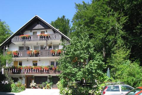 The cozy apartment Destina 5, near the lake Bohinj