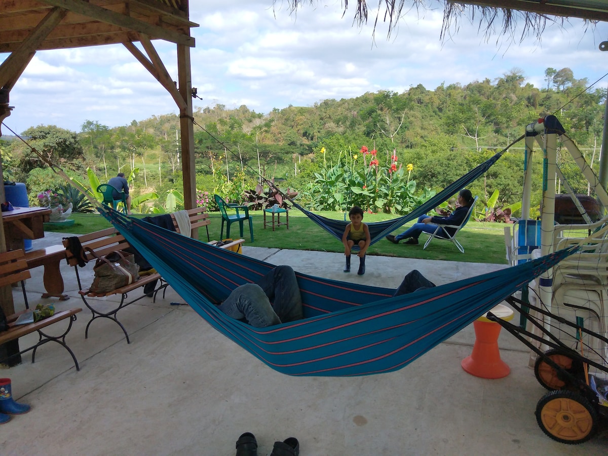 A covered outdoor space showcases two colorful hammocks, inviting relaxation. Surrounding greenery and bright flowers are visible in the background. Several chairs and a small table are arranged around the area, offering a peaceful setting for leisure and enjoyment of the natural surroundings.