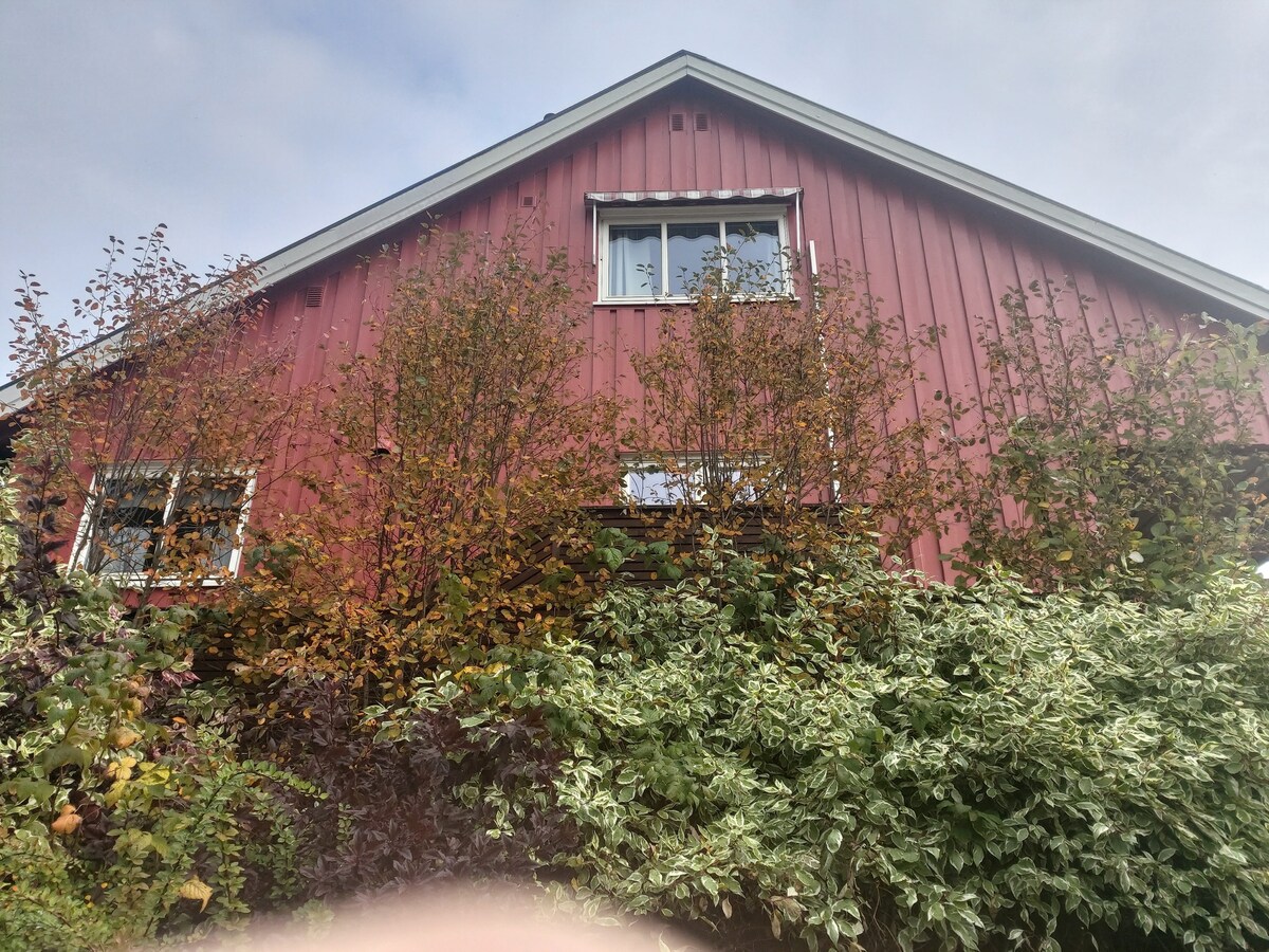 A red wooden house is surrounded by lush greenery, including various trees and shrubs. The upper windows are framed by foliage, enhancing the home’s natural setting. The structure features a sloped roof and multiple windows, providing a glimpse of the inviting exterior.