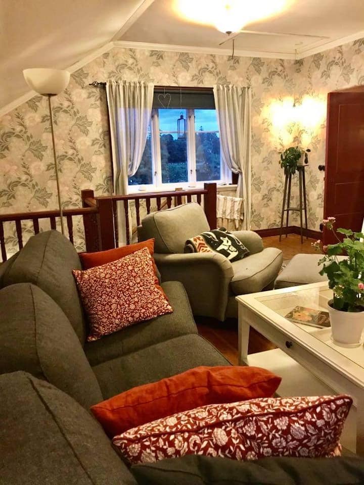 Студиото на горния етаж, където има и телевизор.