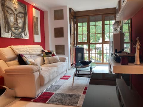 Beautiful apartment, with charm in Cantabria Ontaneda