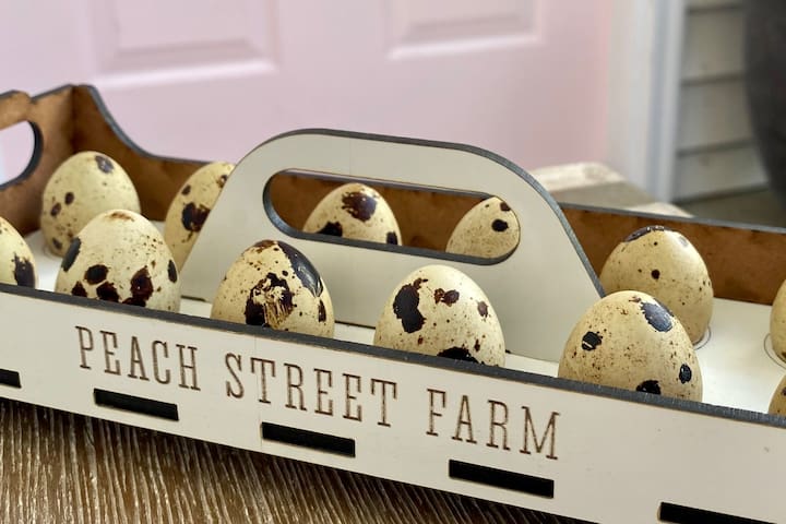 Peach Street Farm: Bunnies, Gardens, Playroom, A/C gallery image 4