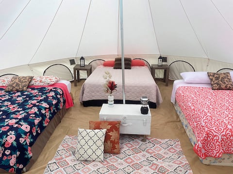 Utopia Feels - 4 Queen Bed Glamping Tent