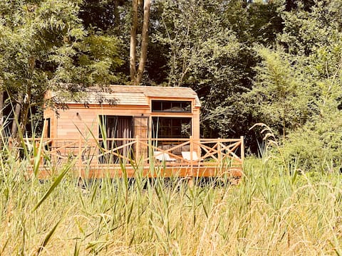 Tennessee Tiny House - Immersed in Nature