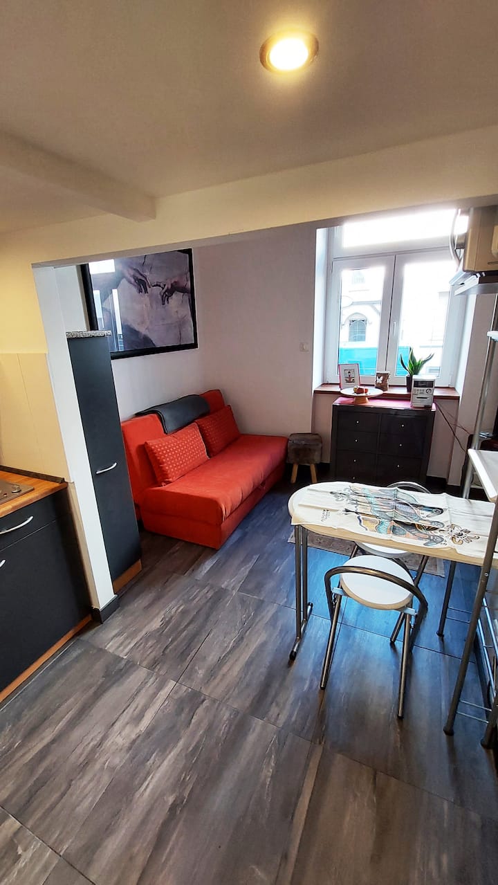 Tiny Apartment 2 Im Zentrum - Offenbach