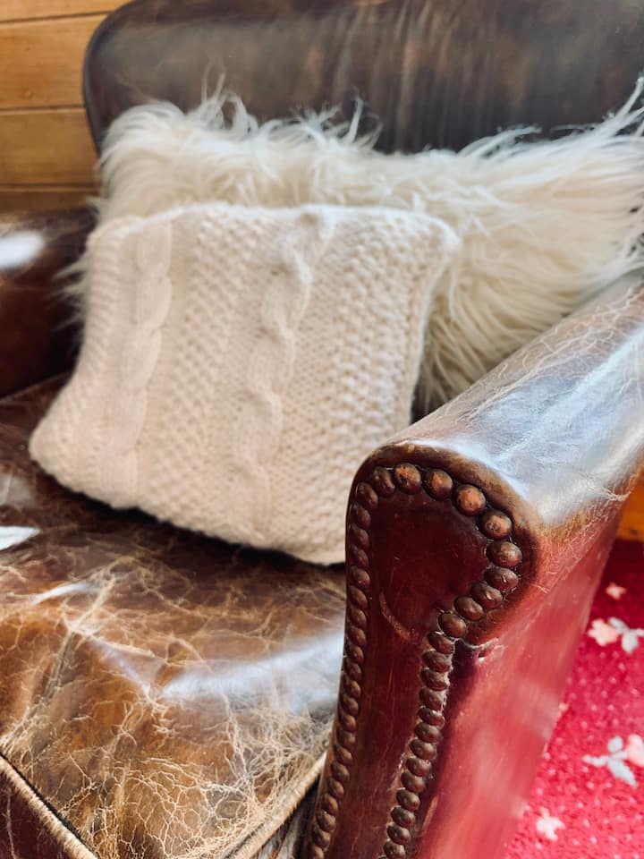 ¡Enfoque en el sillón de cuero y sus primos geniales! 