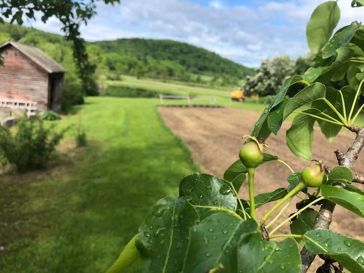 Middletown Springs Holiday Rentals & Homes Vermont, United States