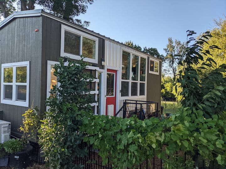 Bethel Island Holiday Rentals & Homes California, United States Airbnb