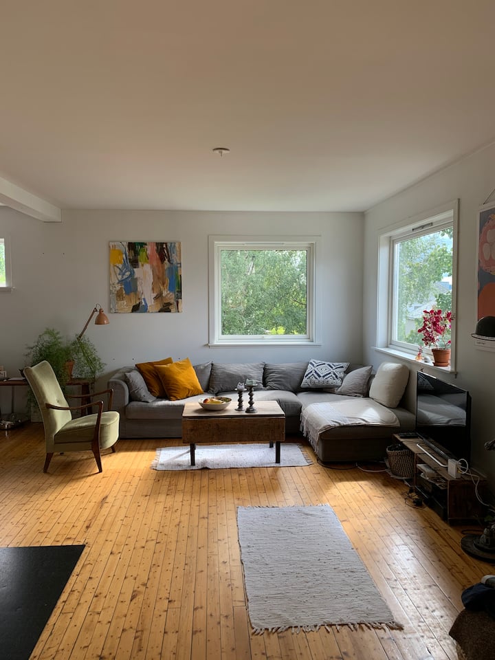 Sentral Leilighet Med Flott Utsikt - Trondheim