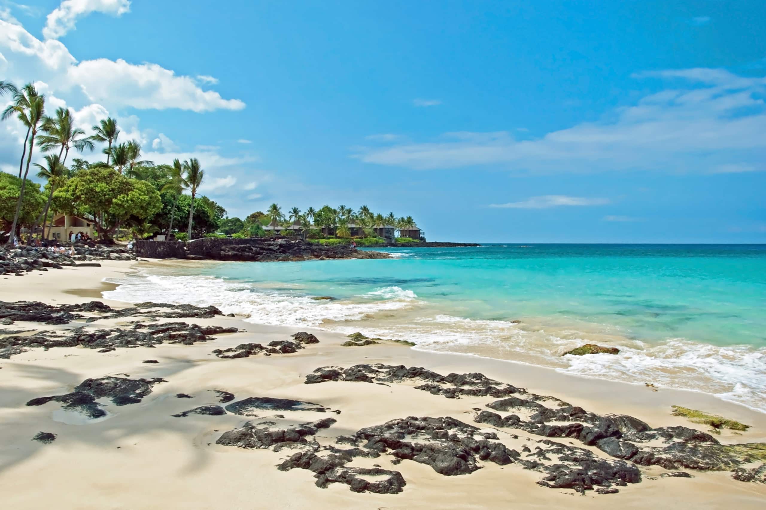 Guesthouse in Kailua-Kona · ★4.92 · 1 bedroom · 1 bed · 1 bath - Image 14