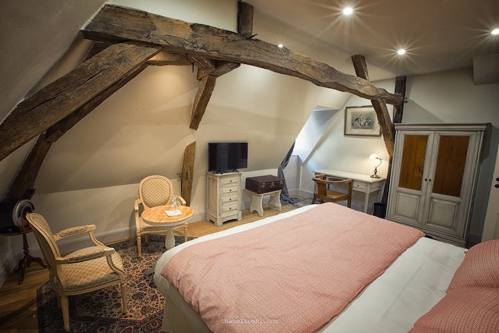 Chambre D'agnès - Chinon