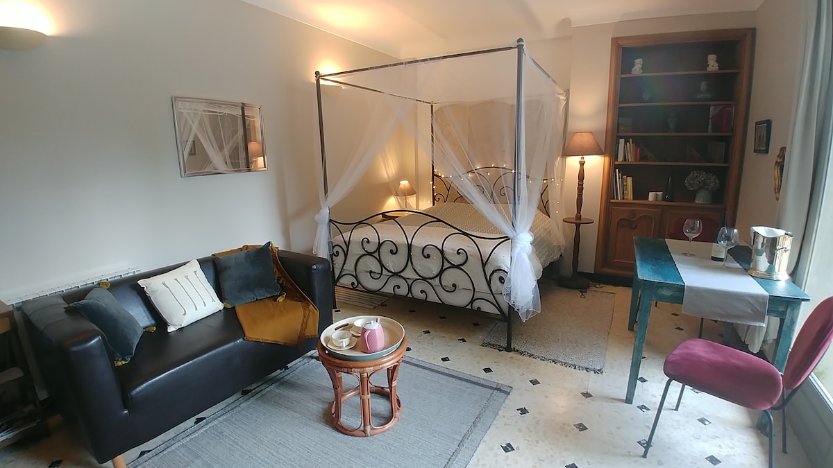 A cozy studio is showcased, featuring a Queen Size bed with a decorative canopy. A dark couch, a round coffee table, and a small desk are included, while a bookshelf adds to the room's functionality. Soft lighting creates a warm ambiance throughout the space.