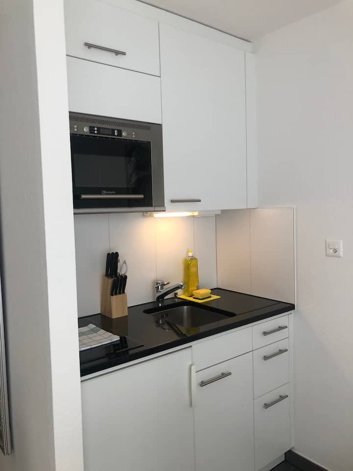 Bright Studio In The City Center (Greenyard 1) - Zurich