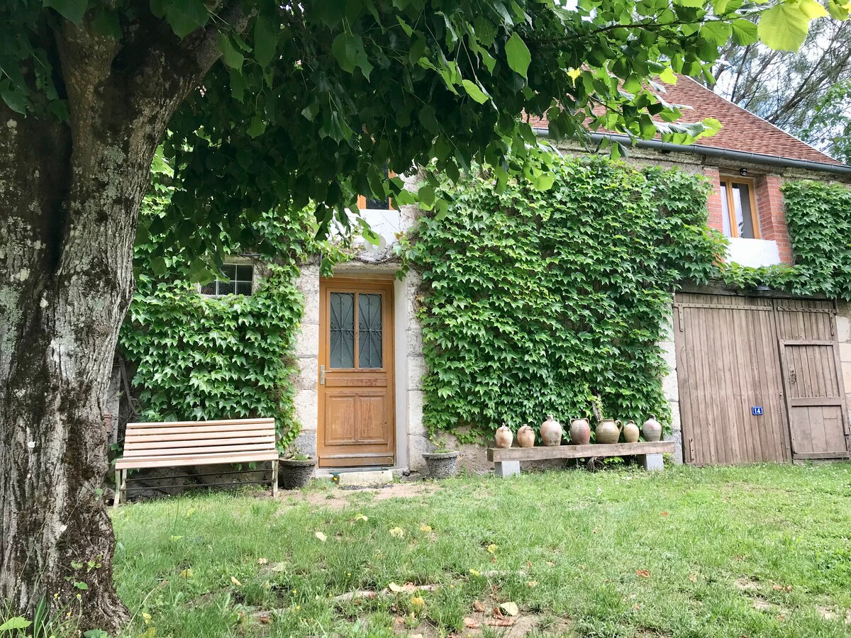 A charming entrance to the guesthouse is framed by lush greenery, with ivy climbing the stone facade. A wooden bench is positioned beside a stone pathway leading to a wooden door. The area is accented by decorative pottery resting on a low table.