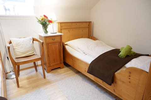 Spacious apartment with fireplace on the edge of the forest