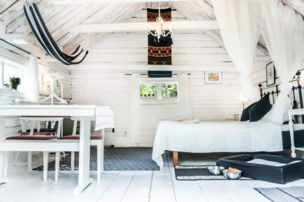 A bright interior features wooden beams and white walls. A spacious bed is positioned alongside a small dining table with chairs. Pet bowls are placed on the floor near the bed. Window light highlights the room's cozy design, complemented by decorative elements.