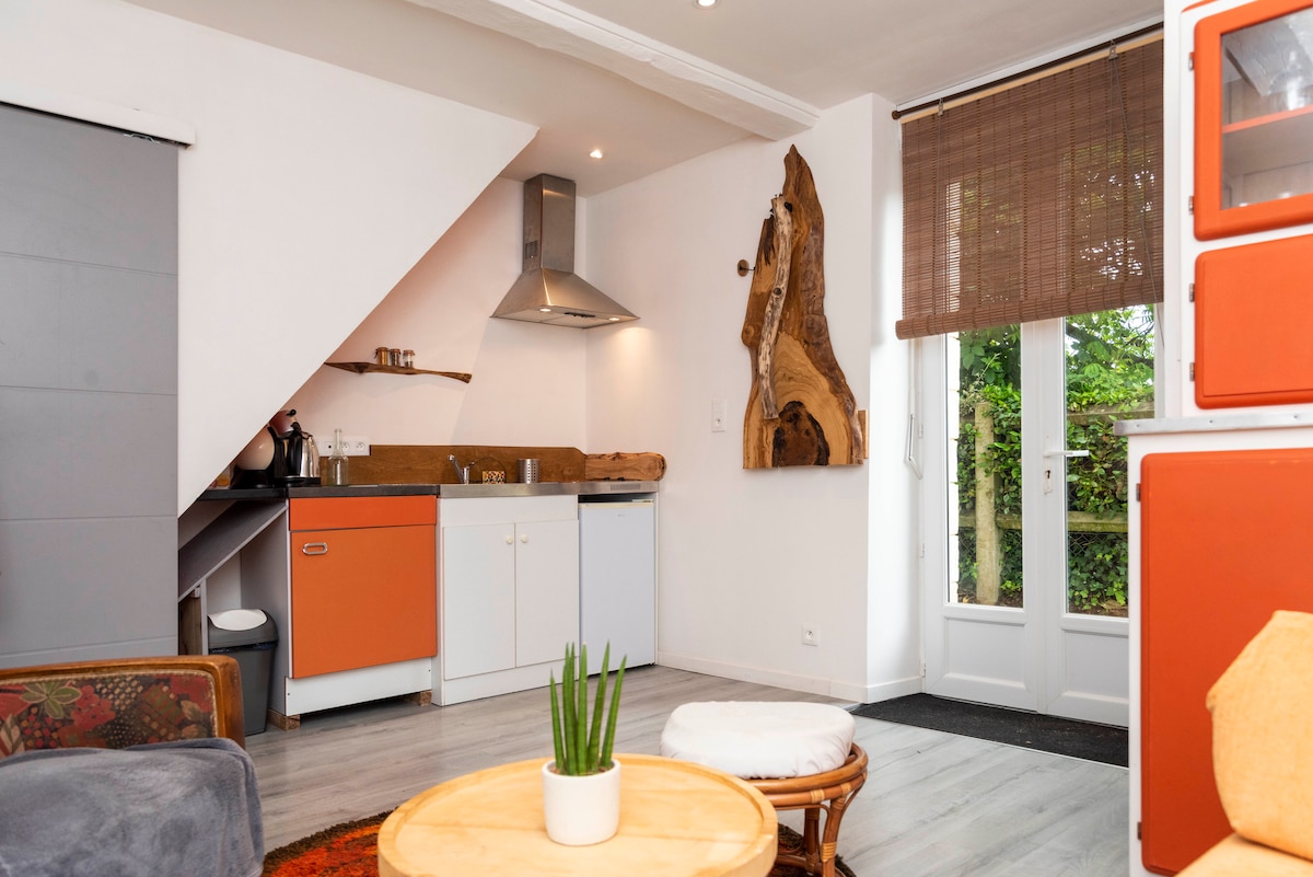 A compact kitchen area features modern appliances and wood accents. The orange cabinetry contrasts with the minimalist design. A small dining table is visible, accompanied by a potted plant. Natural light enters through glass doors, leading to a garden view.