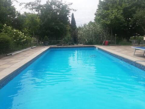 Home with a pool