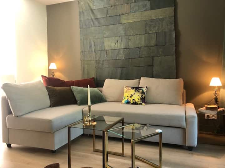 Studio Indépendant Dans Maison Au Centre De Vannes - Vannes