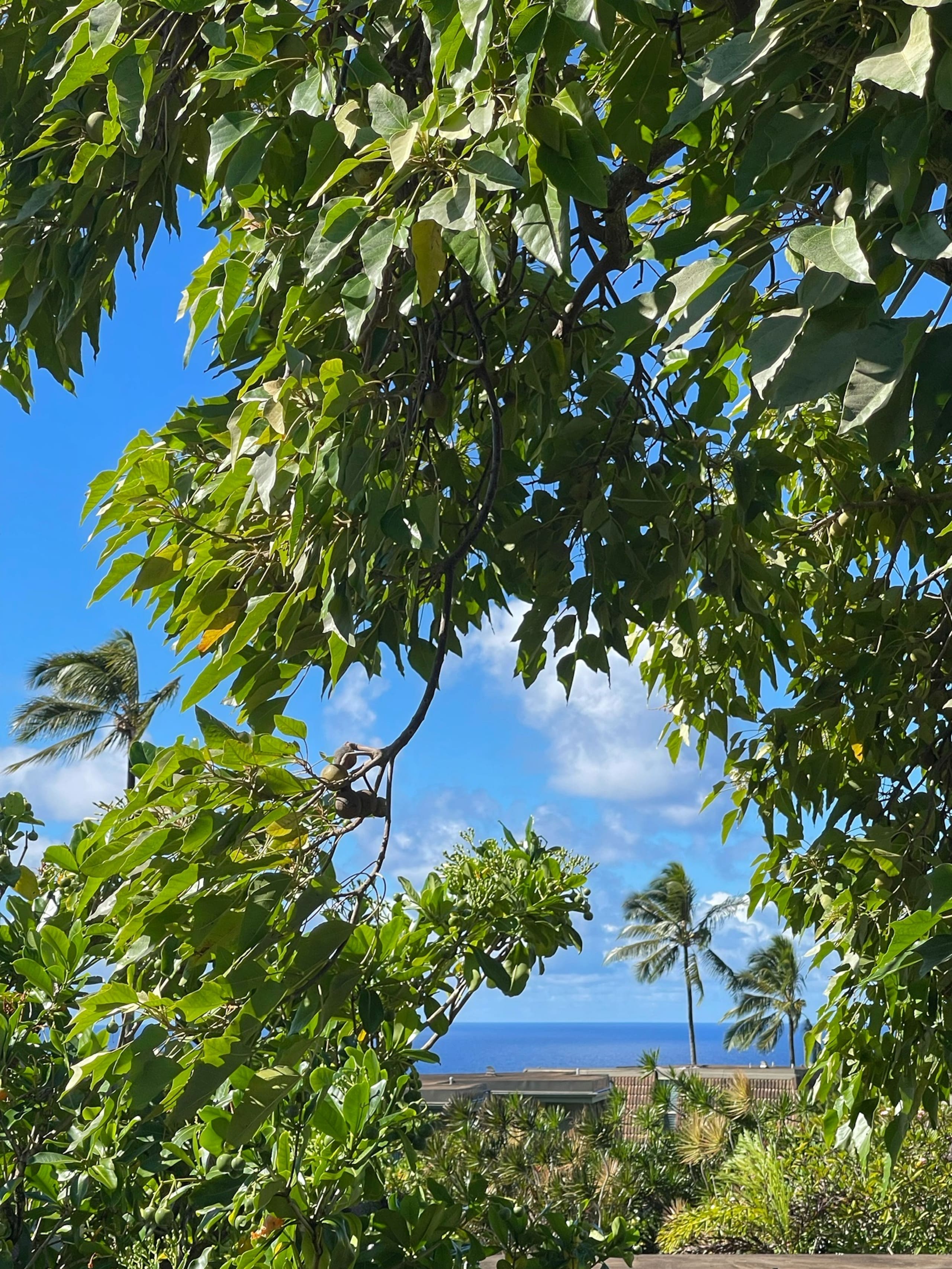 Townhouse in Princeville · ★4.9 · 3 bedrooms · 4 beds · 3 private baths - Image 43