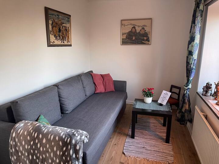 ห้องนอนเล็กพร้อมเตียงโซฟา (140 ซม.)