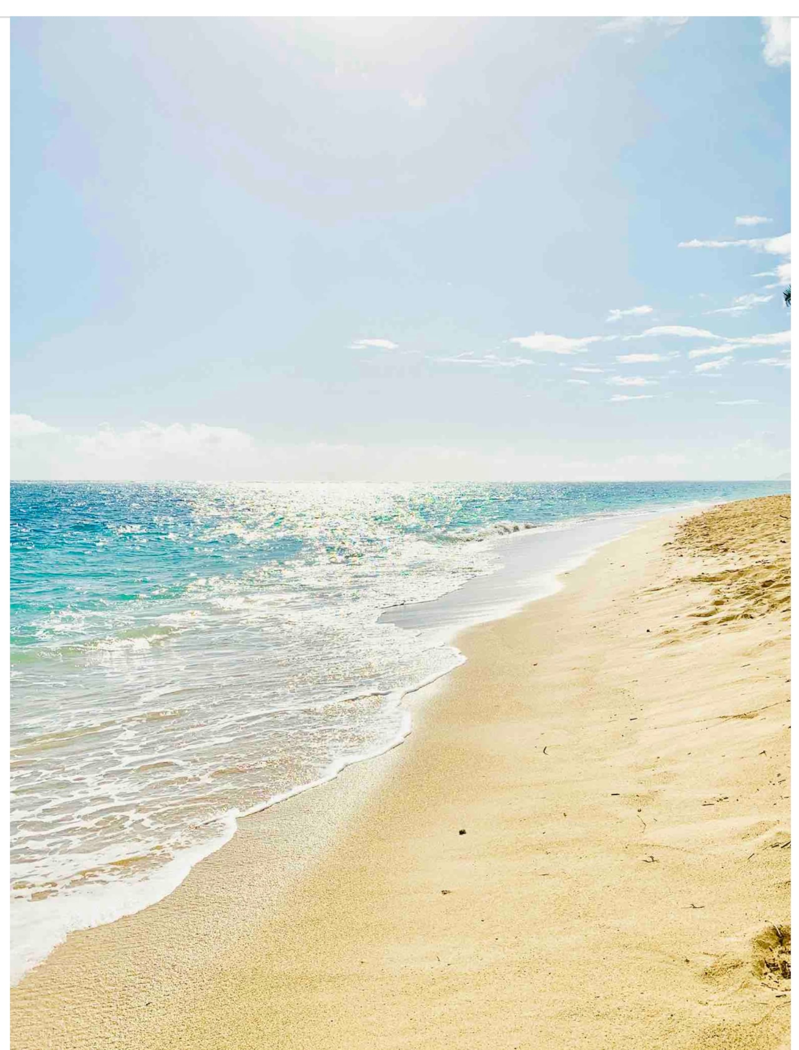 Second Wind,  Ocean front, Sunrise View! - Image 6