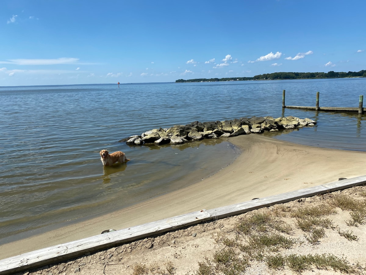 A sandy beach area leads into calm waters, with a rocky jetty extending into the water. A dog stands partially submerged, enjoying the gentle waves. The scene is complemented by clear blue skies and distant greenery across the water.