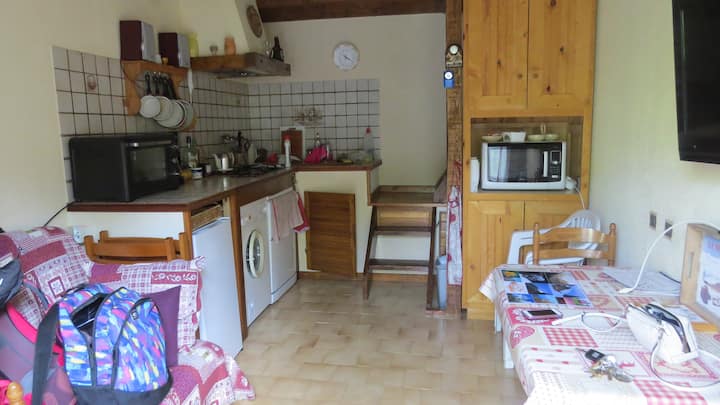 Charmant Studio Avec Terrasse Et Vue Sur Montagne - Seyne