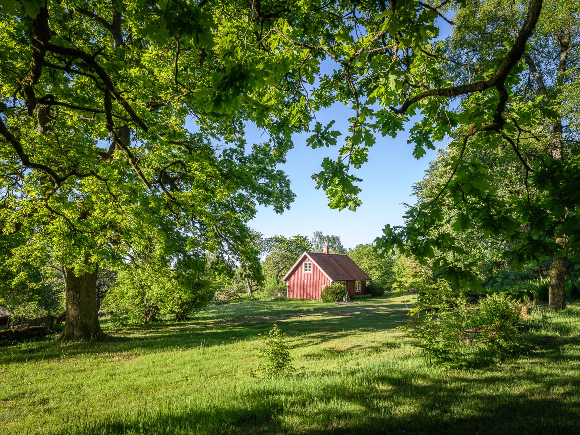 Cottage in the middle of nature with wonderful garden