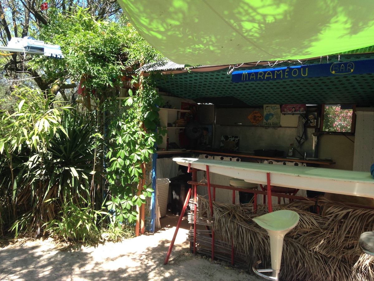 An outdoor bar area is surrounded by lush greenery, featuring a long counter with bar stools. Colorful signage decorates the space, complemented by shaded areas created by overhead fabrics. The setting offers a relaxed atmosphere, ideal for casual gatherings.