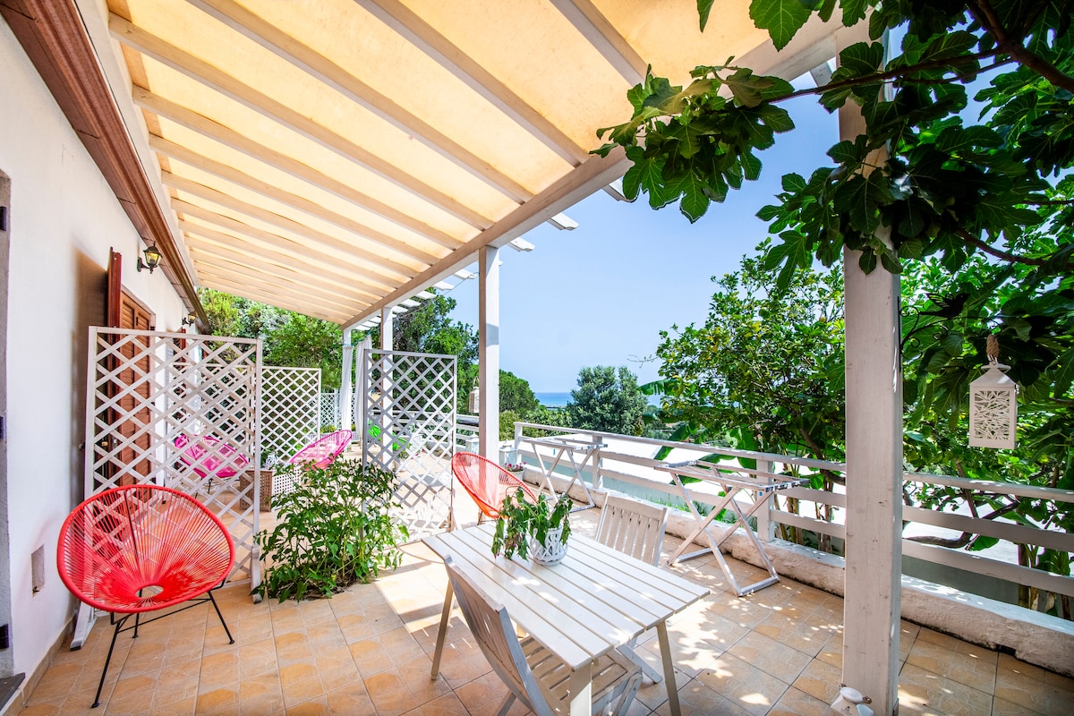 An outdoor terrace is presented, featuring a white wooden table surrounded by bright red chairs. Lush greenery frames the space, while views of the sea are visible in the background. The area is shaded by a pergola, enhancing the inviting ambiance for relaxation.