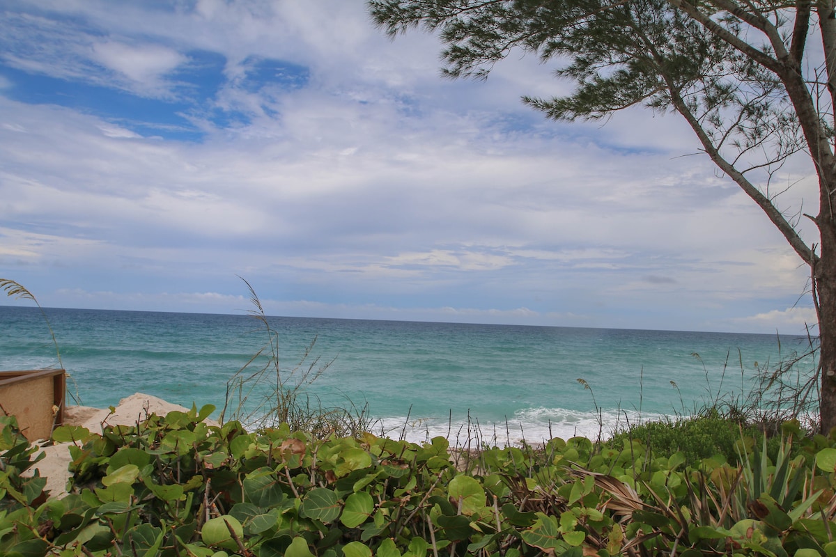 A serene ocean view is captured, displaying gentle waves lapping at the shore under a cloudy sky. Lush greenery frames the foreground, with a tree on the right providing natural contrast. The soft blue and green hues of the water invite relaxation.