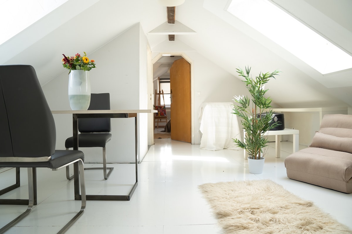 Duplex apartment with loft character in Stuttgart West/Central