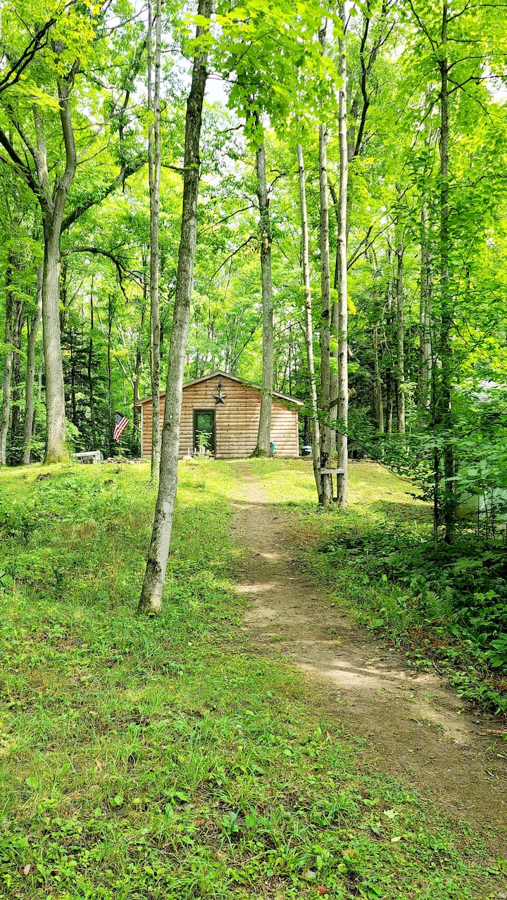 Top 17 PetFriendly Cabin Rentals In Michigan, USA Updated 2024 Trip101