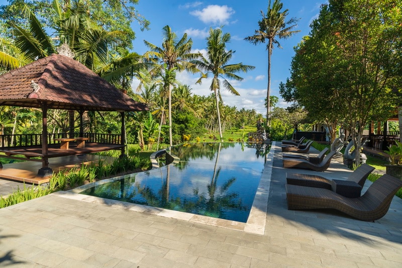 An inviting outdoor area features a sleek infinity pool surrounded by lush greenery and tropical palm trees. Comfortable lounge chairs are positioned along the poolside, with a traditional gazebo offering shaded seating in the distance.